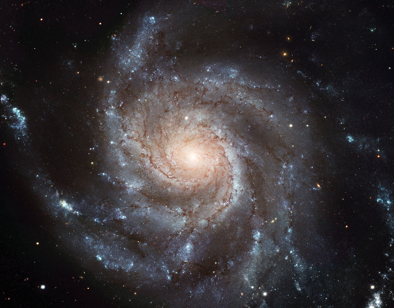 Example unoptimized image