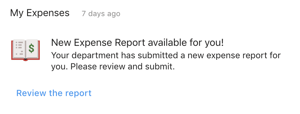 Expense Report