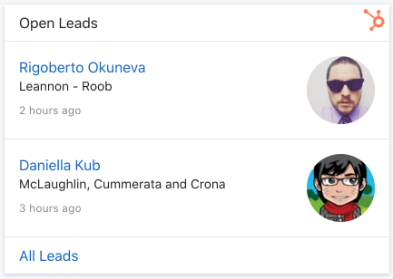 List of unassigned leads in Hubspot CRM